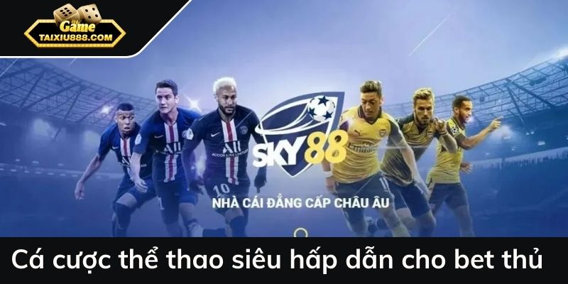 Cá cược thể thao siêu hấp dẫn cho bet thủ