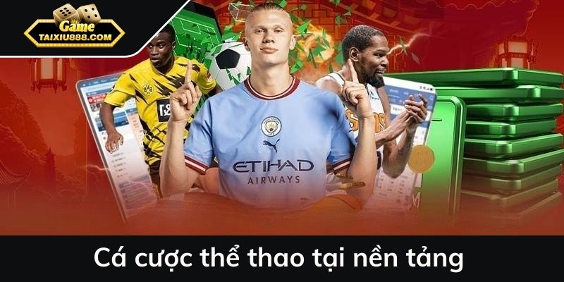 Cá cược thể thao tại nền tảng