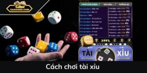 Hướng dẫn luật chơi cơ bản cho tay cược