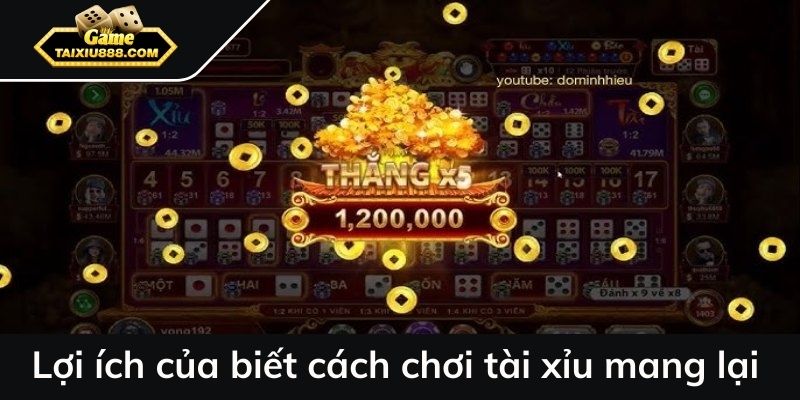 Lợi ích của biết cách chơi tài xỉu mang lại