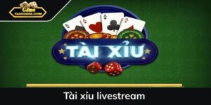 Tài xỉu livestream - Cá cược giải trí siêu hấp dẫn